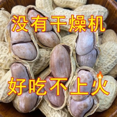 龙岩花生蒜香五香水煮白晒湿烤咸干花生米带壳炒货熟休闲小吃零食图3