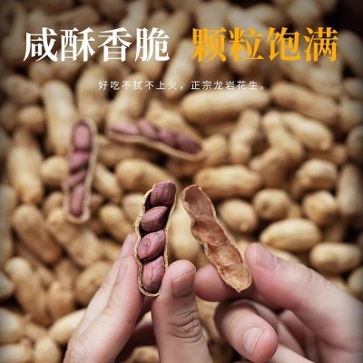 花生米福建龙岩湿烤花生带壳水煮咸干原味紫衣红皮袋装食品图2