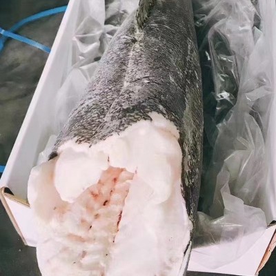 法国进口正宗银鳕鱼整条 精选南极犬牙鱼深海鳕鱼去鳞商用批发图4