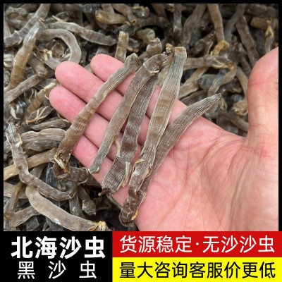 【源头工厂】北海沙虫干大灰沙虫干大黑沙虫干海肠子海鲜干货批发图2