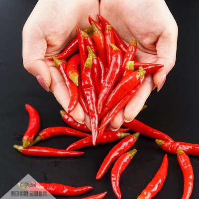 泡红椒朝天椒泡辣椒腌辣椒下饭菜咸菜泡菜朝天椒尖椒小米辣批发图4
