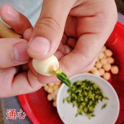 广昌特产新鲜干货无硫白莲子手工莲子250克新鲜粉糯饱满大颗粒图3