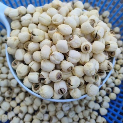 【产地批发】江西手工有芯白莲子广昌实心莲子一手货源支持定规格图2