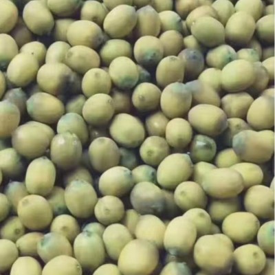 【产地批发】江西手工有芯白莲子广昌实心莲子一手货源支持定规格图4
