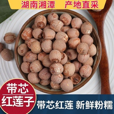 新鲜湘潭白莲子大颗粒湘莲干货散装袋装磨皮无硫红皮带芯无芯莲子图4