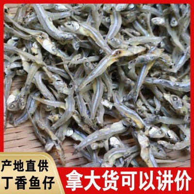 小鱼仔干500g白凡鱼干丁香鱼子海鱼仔干货跑江湖地摊海燕鱼干批发图1