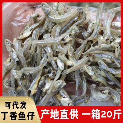 小鱼子干500g白凡鱼干丁香鱼子公鱼子干海鱼仔干货跑江湖地摊批发图2
