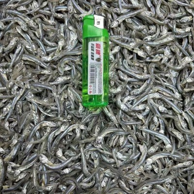 小鱼子干500g白凡鱼干丁香鱼子公鱼子干海鱼仔干货跑江湖地摊批发图3