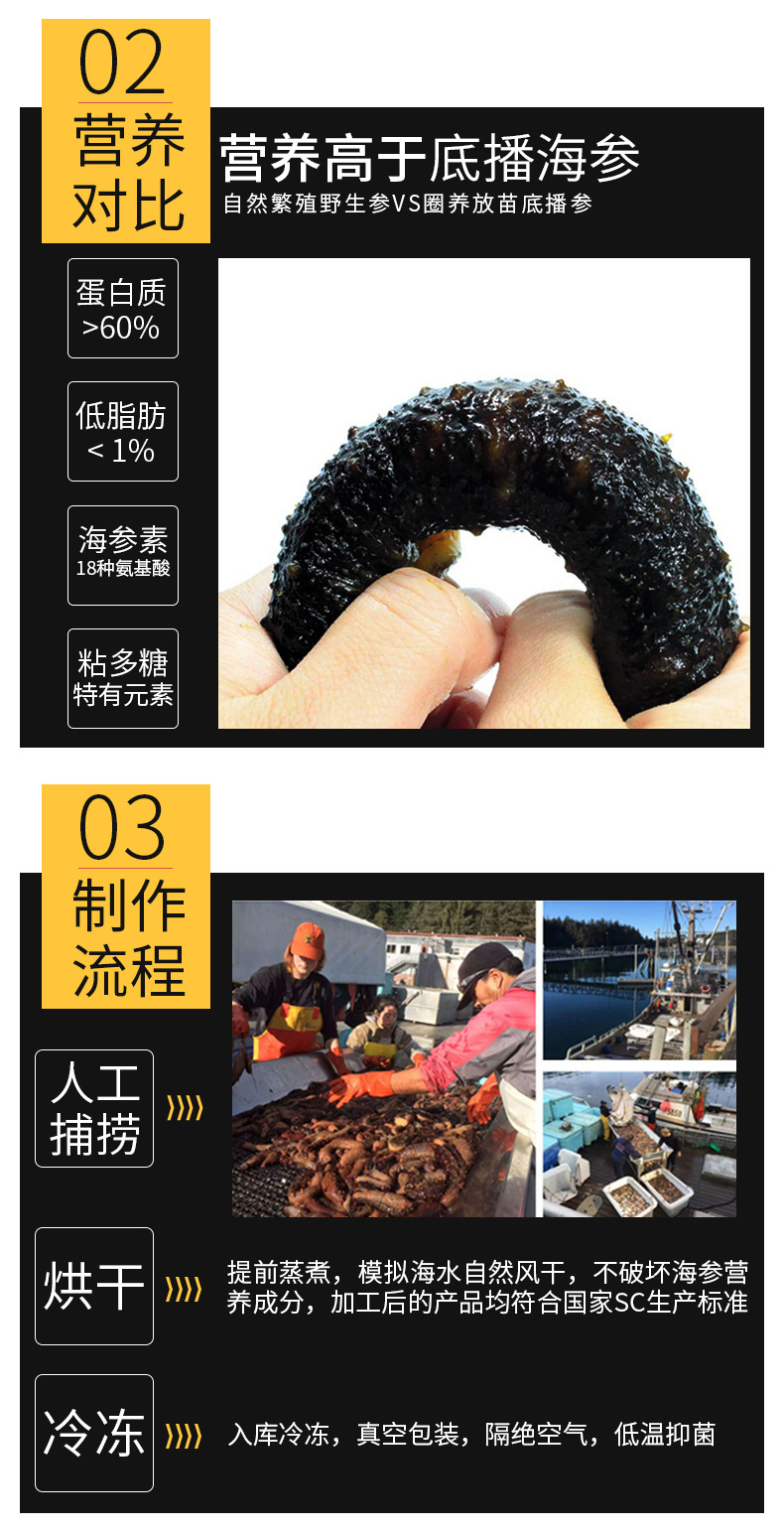 北极参_07.jpg