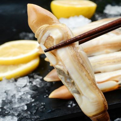 鲜冻捞汁蛏王肉竹节蛏子单冻海蛏子蛏竹圣子无沙蛏子肉批发饭店图1