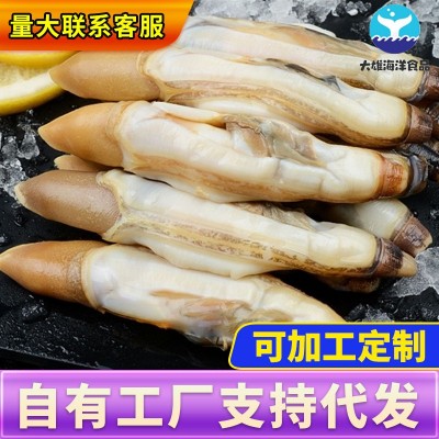 鲜冻捞汁蛏王肉竹节蛏子单冻海蛏子蛏竹圣子无沙蛏子肉批发饭店图2