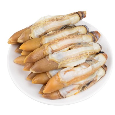 鲜冻捞汁蛏王肉竹节蛏子单冻海蛏子蛏竹圣子无沙蛏子肉批发饭店图5
