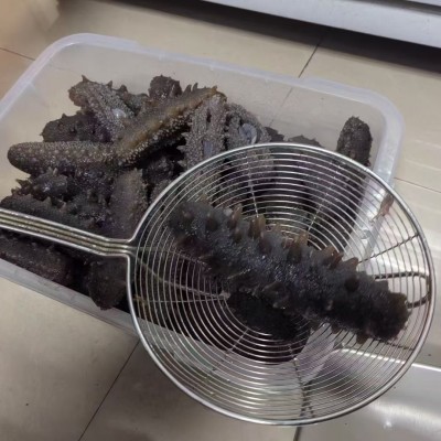 即食海参 酒店食材淡干海参独立包装散装即食海参图4