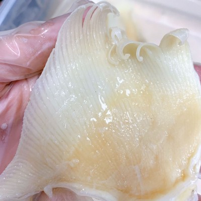 产地批发 北海鱼赤 海狗翅浦鱼赤片 佛跳墙酒店餐饮食材海味干货图5