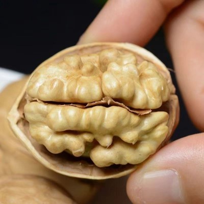 新疆纸皮核桃一件代发2024新货生核桃185薄皮零食特产185纸皮核桃图2