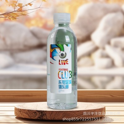 矿泉水定制logo免费设计企业会展酒店小瓶装水成都厂家整 箱批特价图3