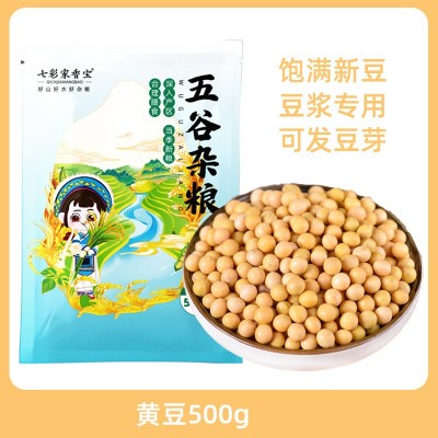 黄豆新货农家自种大豆子五谷杂粮生的发豆芽打豆浆专用小黄豆图3