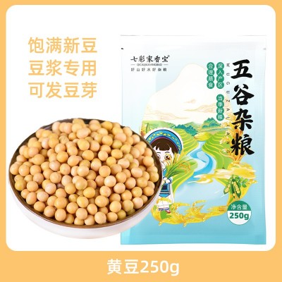 黄豆新货农家自种大豆子五谷杂粮生的发豆芽打豆浆专用小黄豆图2