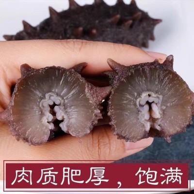 海参厂家批发大连海参辽刺参口感劲道鲜食海参大连特产图2