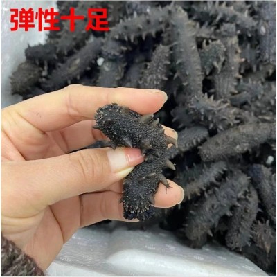 海参厂家批发大连海参辽刺参口感劲道鲜食海参大连特产图3