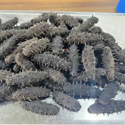 半干拉缸海参辽宁大连特产干货泡发非即食海参半干海参批发图3
