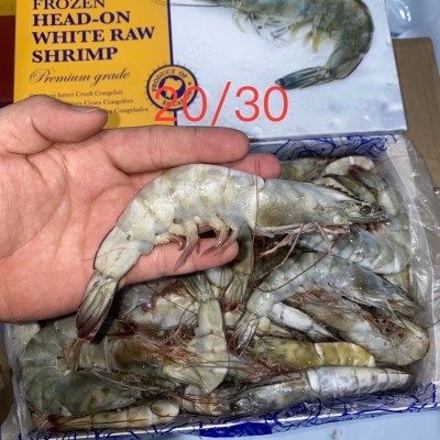 盐冻虾净重3斤/盒 40/50 成都批发厄瓜多尔白虾 南美虾对虾海虾图4