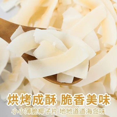海南椰子脆片解馋薄脆椰果干即食零食果干椰奶片烤椰子肉独立包装图4