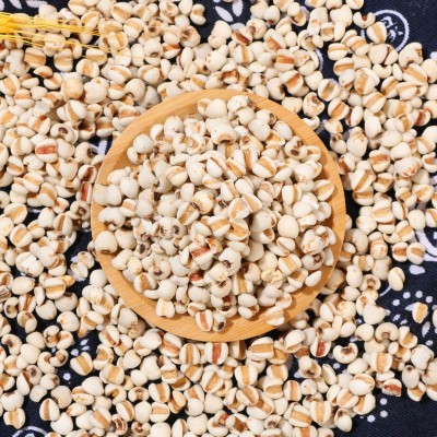 厂家供应薏仁米 中药材炒薏米仁 五谷杂粮农家粗粮 豆浆磨粉原料图4