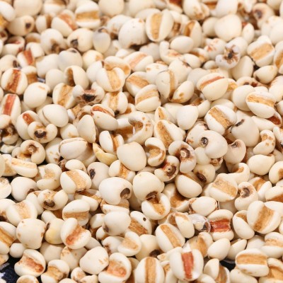 厂家供应薏仁米 中药材炒薏米仁 五谷杂粮农家粗粮 豆浆磨粉原料图3