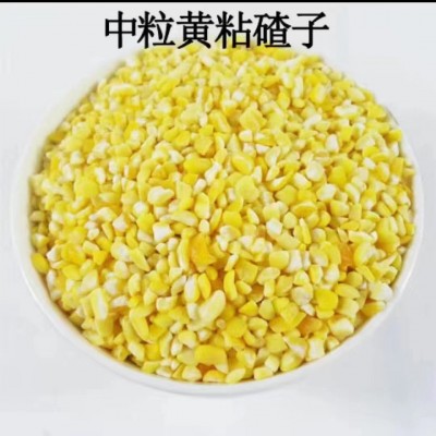 东北正宗新鲜黄粘玉米碴子粘苞米糯玉米碴粘糯大碴子玉米碎包邮图3
