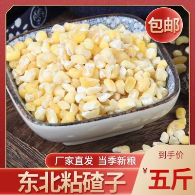 东北正宗新鲜黄粘玉米碴子粘苞米糯玉米碴粘糯大碴子玉米碎包邮图1