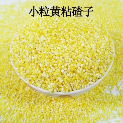 东北正宗新鲜黄粘玉米碴子粘苞米糯玉米碴粘糯大碴子玉米碎包邮图4