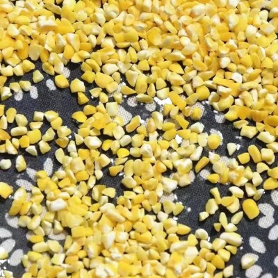 东北正宗新鲜黄粘玉米碴子粘苞米糯玉米碴粘糯大碴子玉米碎包邮图5