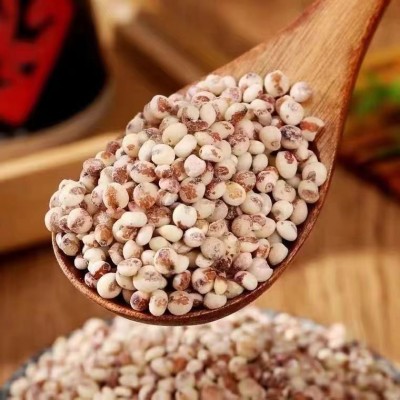 包粽子年糕豆包汤圆米专用新鲜米现磨粘高粱米去皮黏糯红高粱米图4