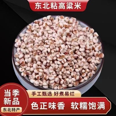 包粽子年糕豆包汤圆米专用新鲜米现磨粘高粱米去皮黏糯红高粱米图1