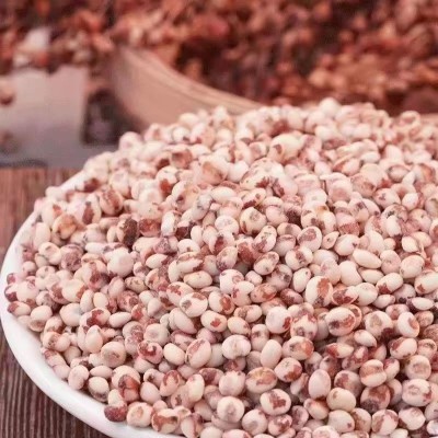 包粽子年糕豆包汤圆米专用新鲜米现磨粘高粱米去皮黏糯红高粱米图2