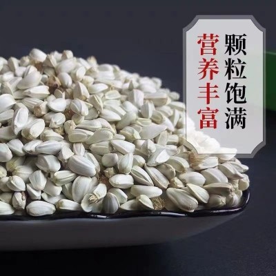 红花子红花籽玄风鹦鹉鸟粮鸟食白瓜子仓鼠粮玄风鸟食鸽子粮食包邮图3