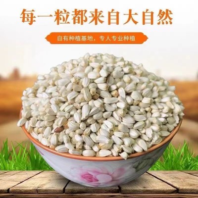 红花子红花籽玄风鹦鹉鸟粮鸟食白瓜子仓鼠粮玄风鸟食鸽子粮食包邮图1