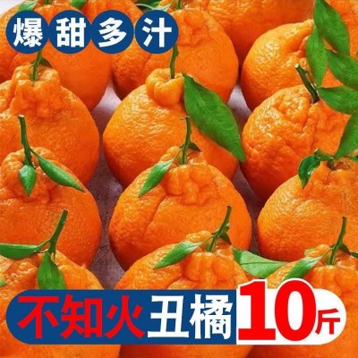 耙耙柑四川橘子新鲜应季水果现摘薄皮春见粑粑柑丑柑桔子整箱批发图4