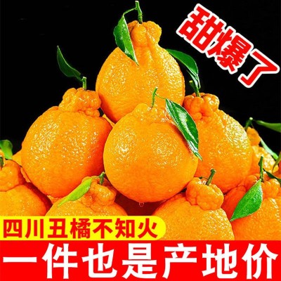 耙耙柑四川橘子新鲜应季水果现摘薄皮春见粑粑柑丑柑桔子整箱批发图3
