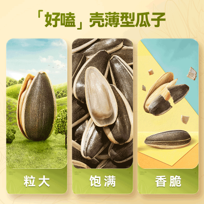 毛嗑450g袋装葵花子瓜子原味五香味焦糖大颗粒休闲零食坚果图5