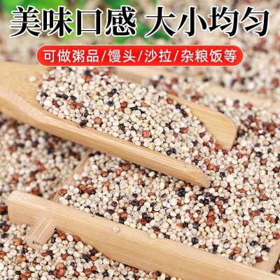 三色藜麦轻食代餐五谷杂粮藜麦黍子50斤装三色藜麦熬粥粗粮藜麦图2