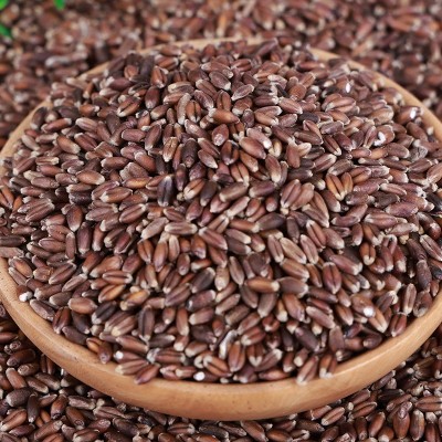 五谷杂粮黑小麦仁煎饼面条面食甜品烘焙原料农家自产粗粮黑麦粒图5