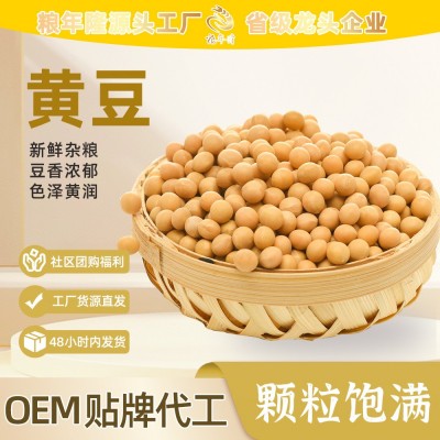 东北黄豆散装50斤批发粗粮五谷杂粮豆腐原料真空包装打豆浆用大豆图1