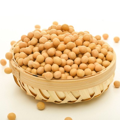 东北黄豆散装50斤批发粗粮五谷杂粮豆腐原料真空包装打豆浆用大豆图4