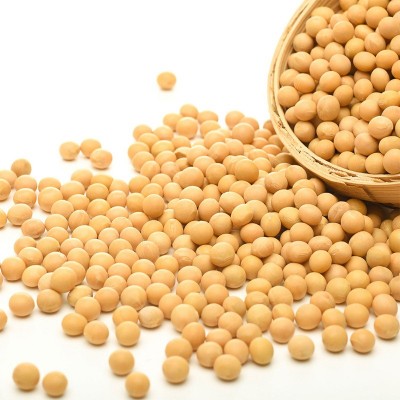东北黄豆散装50斤批发粗粮五谷杂粮豆腐原料真空包装打豆浆用大豆图2