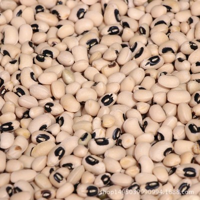 黑嘴白豇豆五谷杂粮 白豇豆白饭豆眉豆批发 五谷杂粮供应散装褐嘴图5
