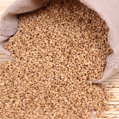 炒熟白芝麻现货批发 带皮熟白芝麻 25公斤袋装 磨粉磨酱即食芝麻图3
