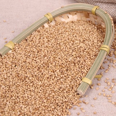 炒熟白芝麻现货批发 带皮熟白芝麻 25公斤袋装 磨粉磨酱即食芝麻图2