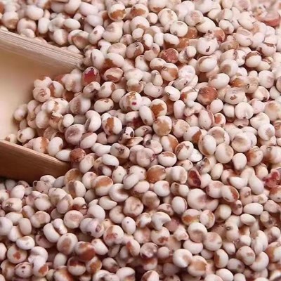 糯高粱米批发 今年新货去皮黏红高粱50斤粘高粱米图3